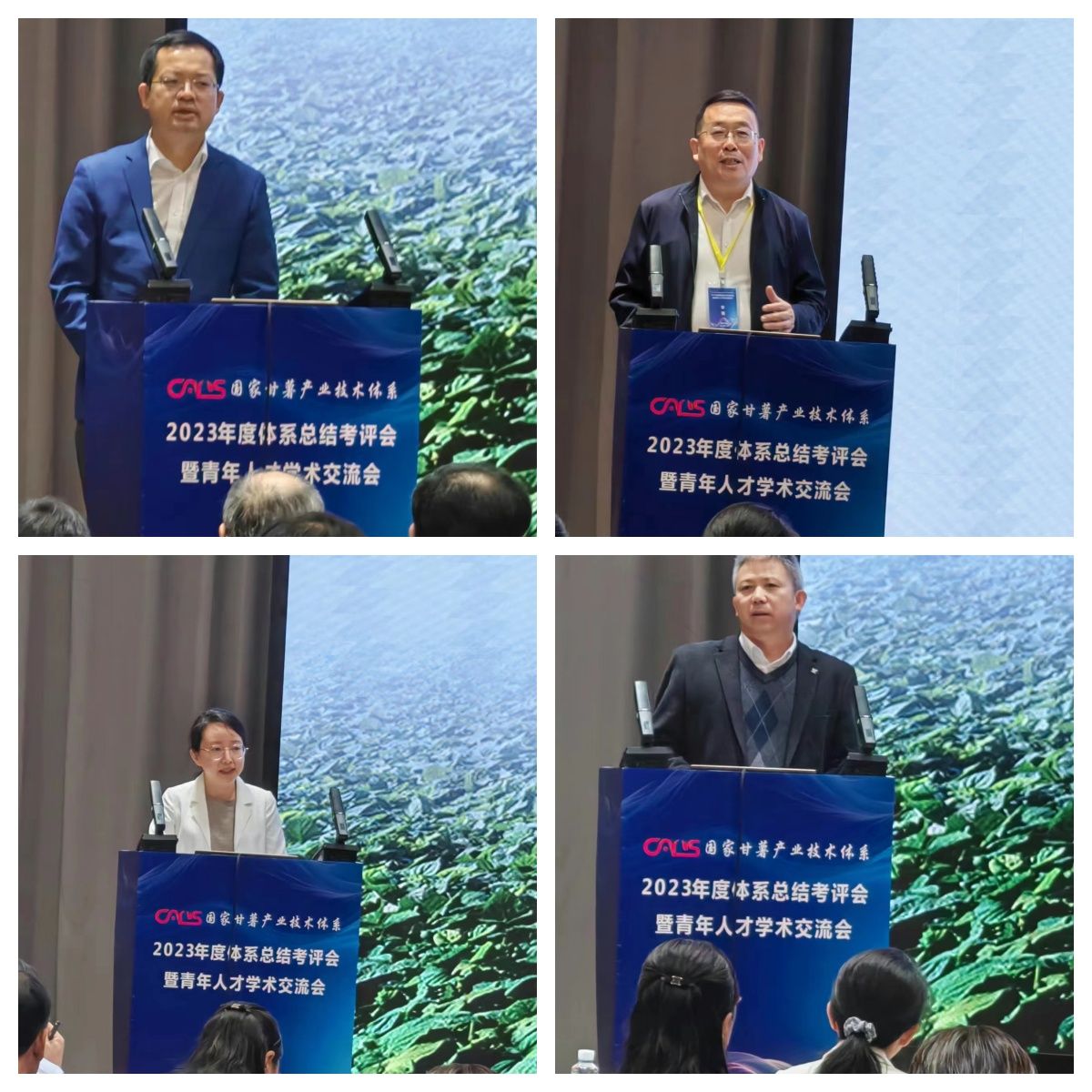 ylzz总站线路检测中心