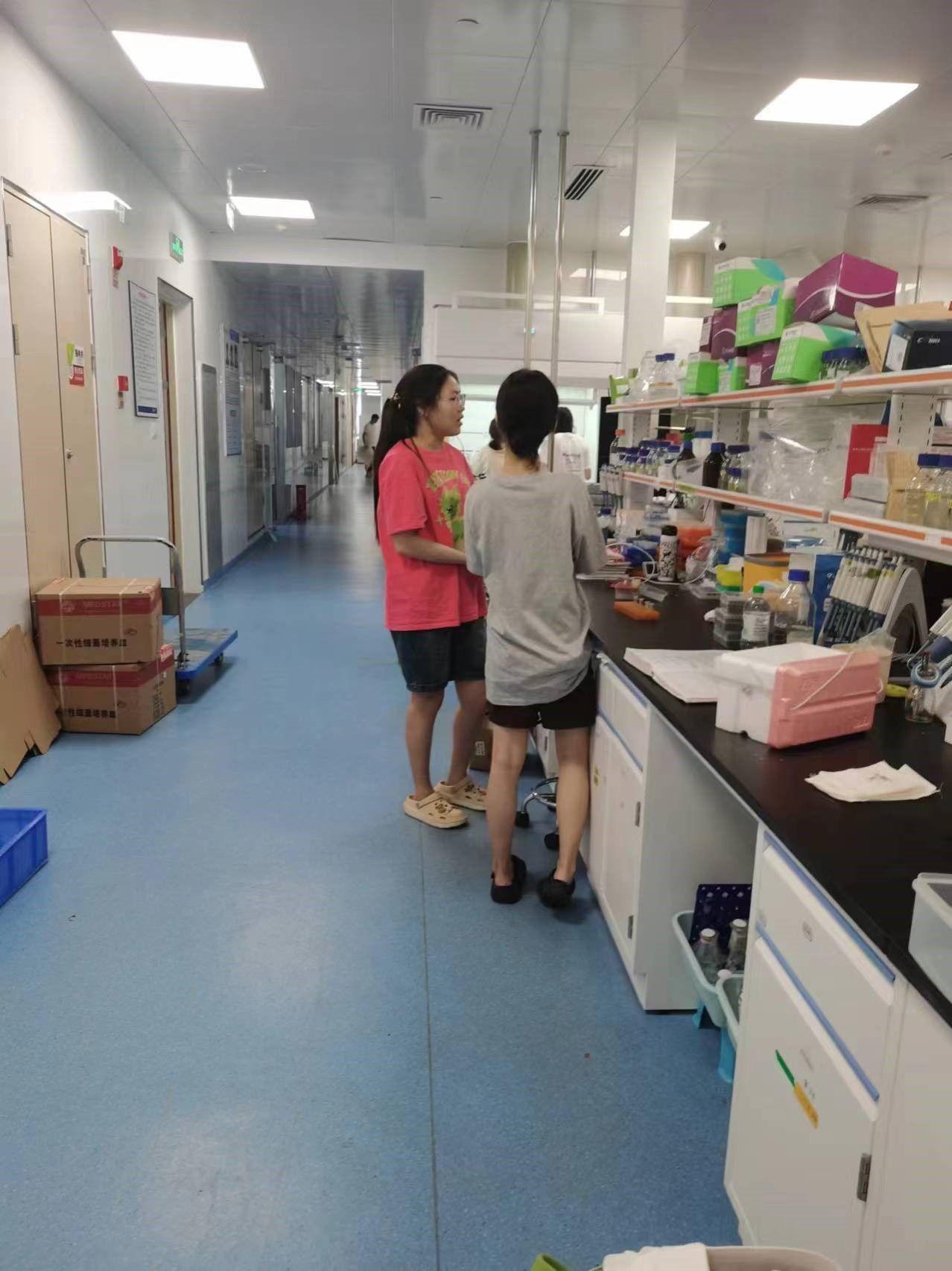 ylzz总站线路检测中心