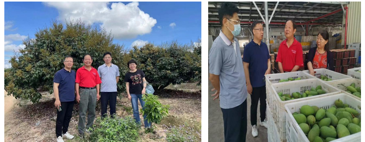 ylzz总站线路检测中心