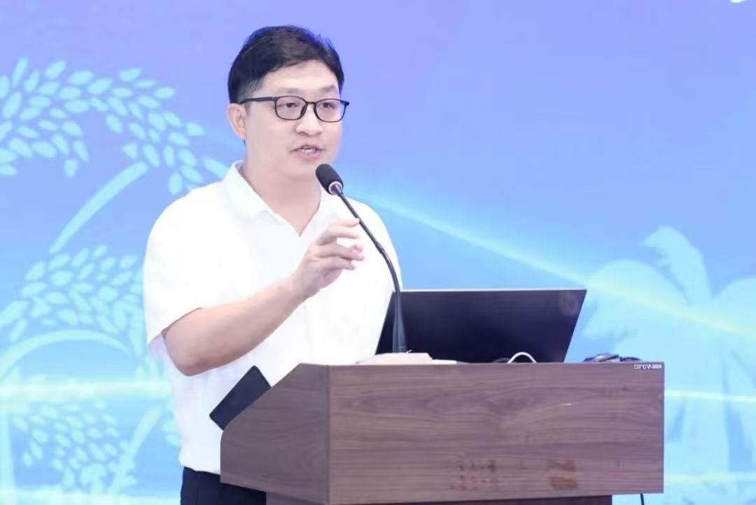 ylzz总站线路检测中心