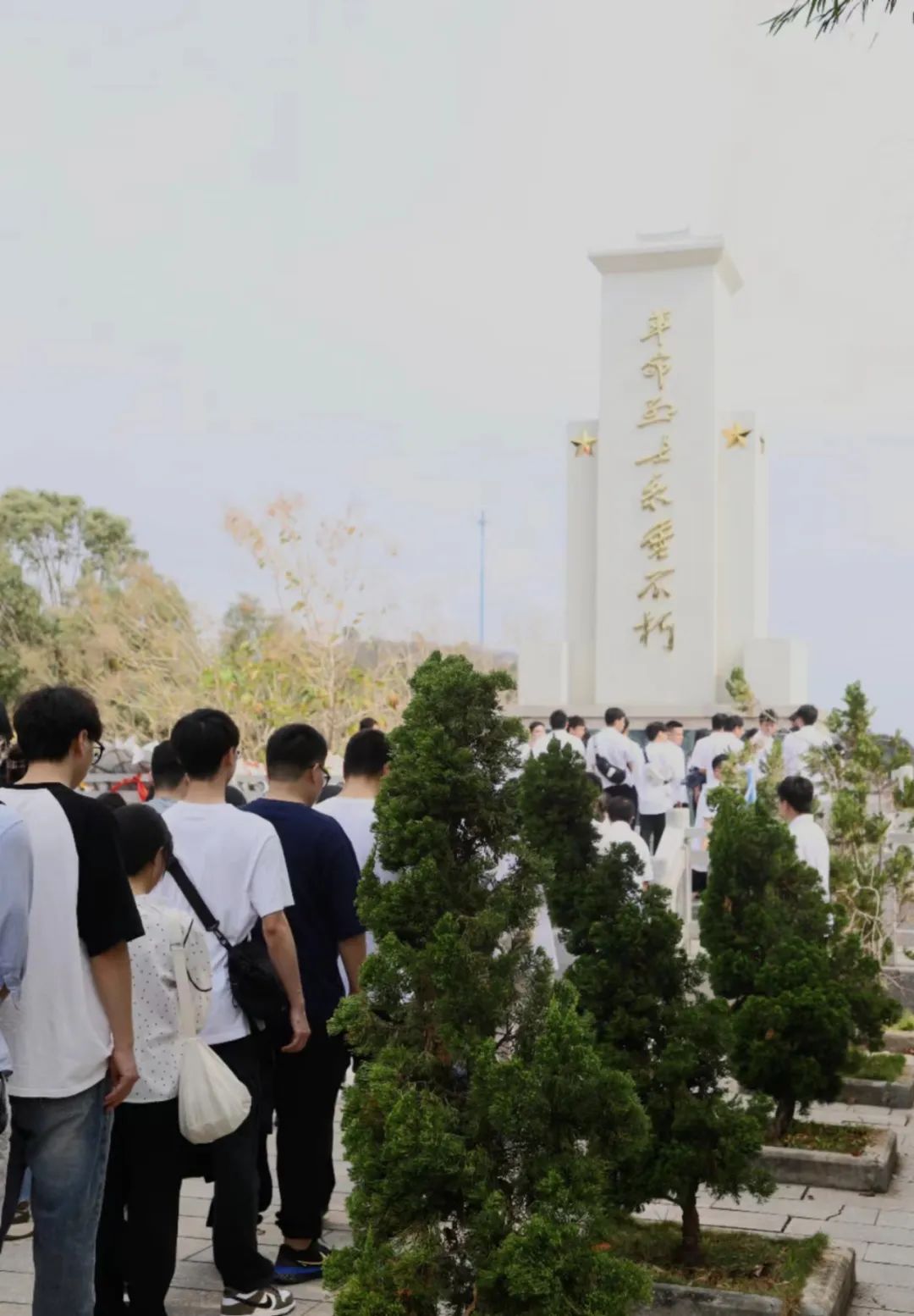 ylzz总站线路检测中心
