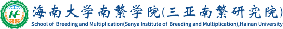 ylzz总站线路检测中心
